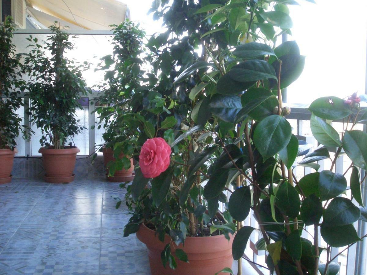 Athens Penthouse Cosy Apartment Exterior foto